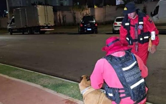 Homem desaparece em Londrina após perder R$ 12 mil no jogo do tigrinho homem-desaparece-em-londrina-apos-perder-r$-12-mil-no-jogo-do-tigrinho