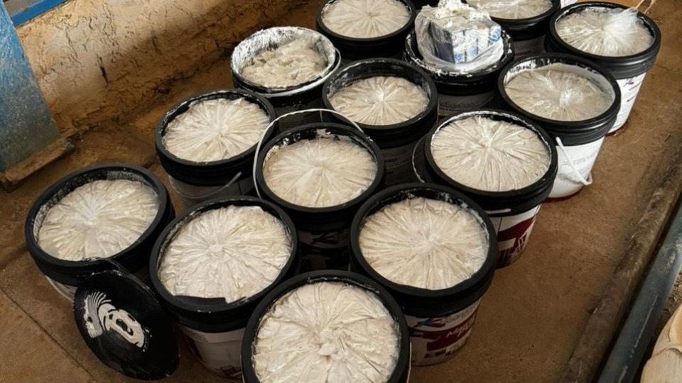 Polícia Federal apreende mais de 60 kg de cocaína escondidos em baldes de massa corrida policia-federal-apreende-mais-de-60-kg-de-cocaina-escondidos-em-baldes-de-massa-corrida