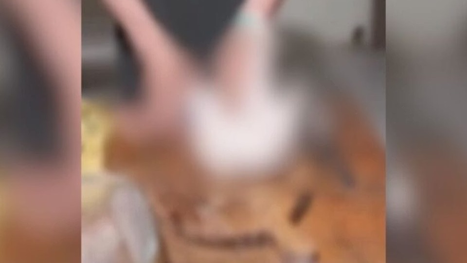 Homem é preso por matar cachorros e gatos e consumir a carne homem-e-preso-por-matar-cachorros-e-gatos-e-consumir-a-carne