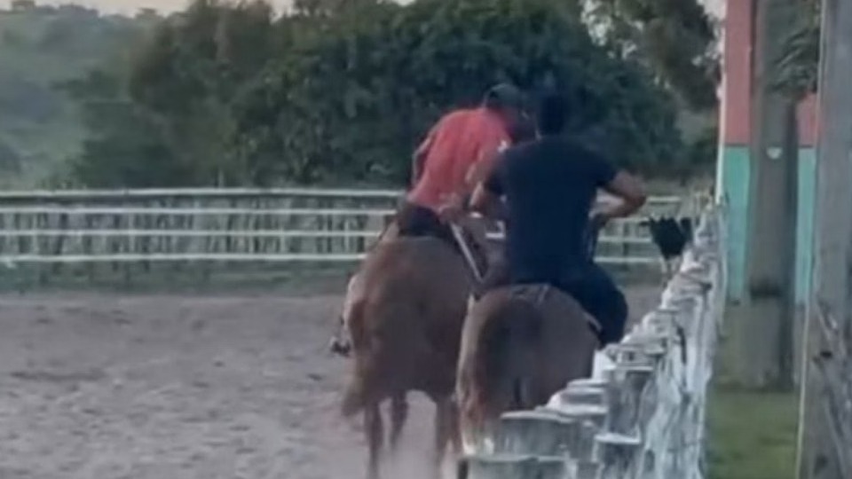 Vaqueiro cai de cavalo durante treino e morre pisoteado vaqueiro-cai-de-cavalo-durante-treino-e-morre-pisoteado