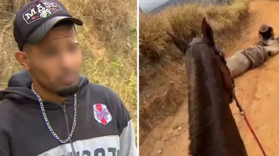 Laudo confirma que cavalo que teve patas decepadas estava vivo durante agressões laudo-confirma-que-cavalo-que-teve-patas-decepadas-estava-vivo-durante-agressoes