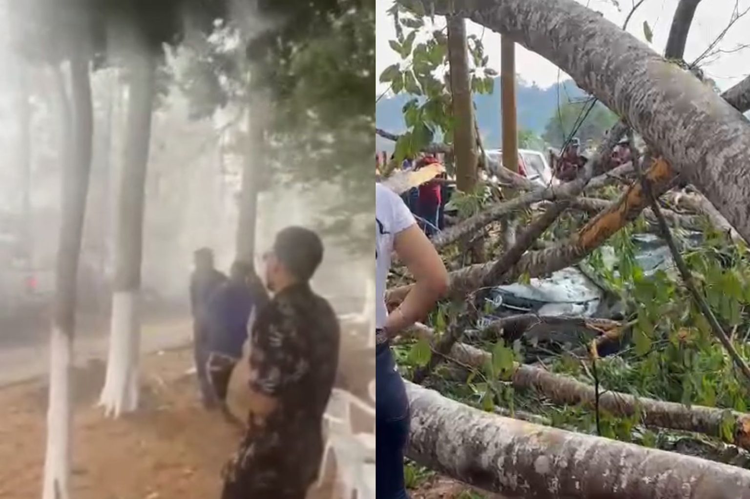 Forte ventania derruba árvores e deixa pessoas feridas em Ministro Andreazza, RO forte-ventania-derruba-arvores-e-deixa-pessoas-feridas-em-ministro-andreazza,-ro