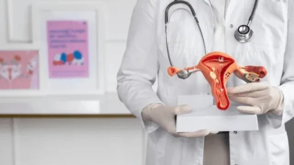 Anvisa aprova medicamento para câncer de ovário resistente à quimioterapia anvisa-aprova-medicamento-para-cancer-de-ovario-resistente-a-quimioterapia