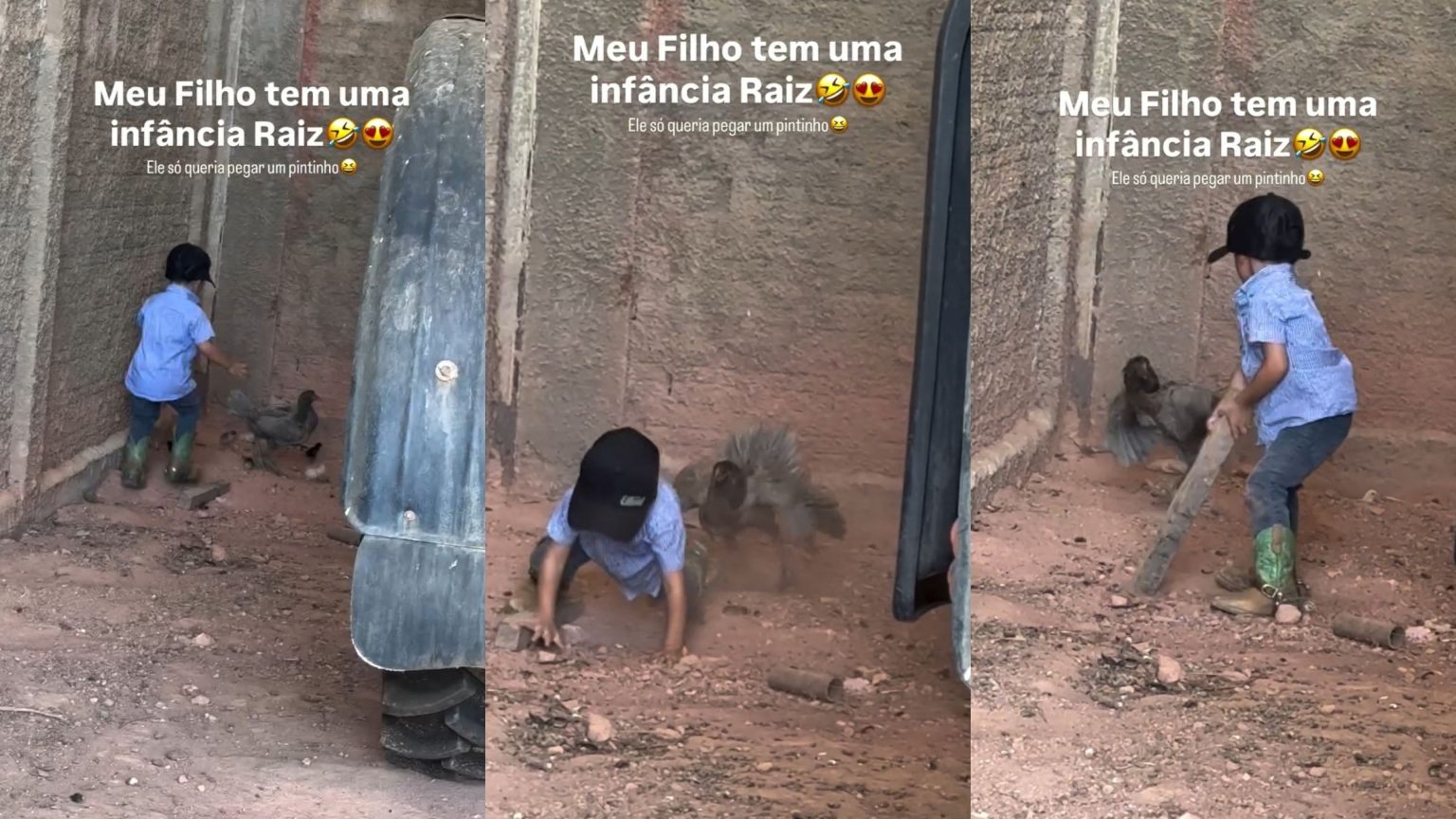 Pequeno ‘Cowboy’ viraliza em vídeo após confusão com galinha em Rondônia pequeno-‘cowboy’-viraliza-em-video-apos-confusao-com-galinha-em-rondonia