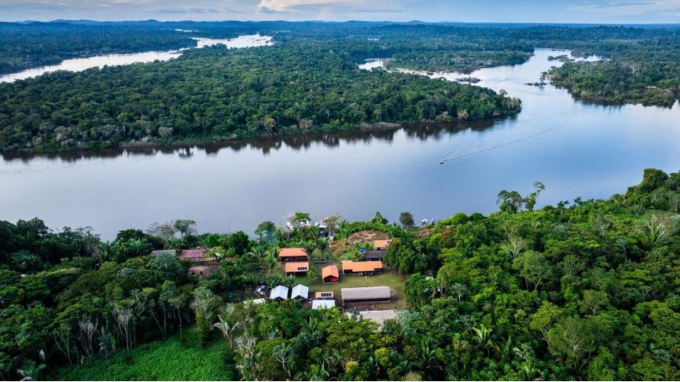 BNDES lança edital voltado para recuperação da floresta amazônia bndes-lanca-edital-voltado-para-recuperacao-da-floresta-amazonia