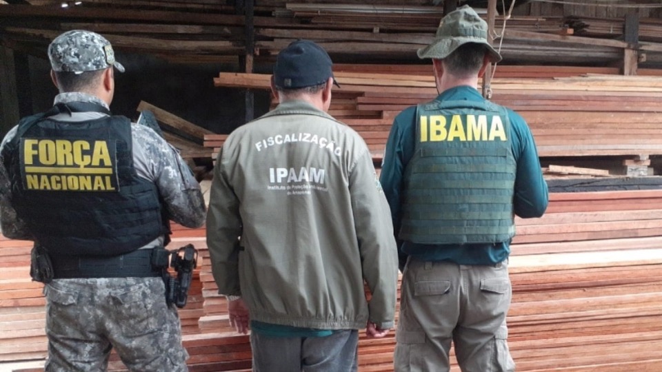 Ipaam aplica R$ 1,39 milhão em multas por crimes ambientais durante Operação Força Tarefa Amazônia ipaam-aplica-r$-1,39-milhao-em-multas-por-crimes-ambientais-durante-operacao-forca-tarefa-amazonia