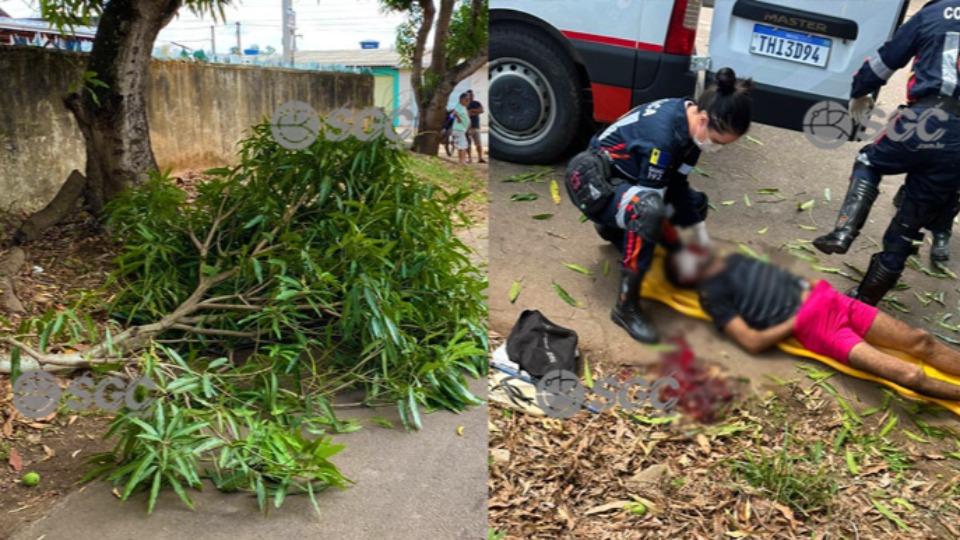 VÍDEO: Queda de pé de manga deixa homem em estado grave em Porto Velho video:-queda-de-pe-de-manga-deixa-homem-em-estado-grave-em-porto-velho