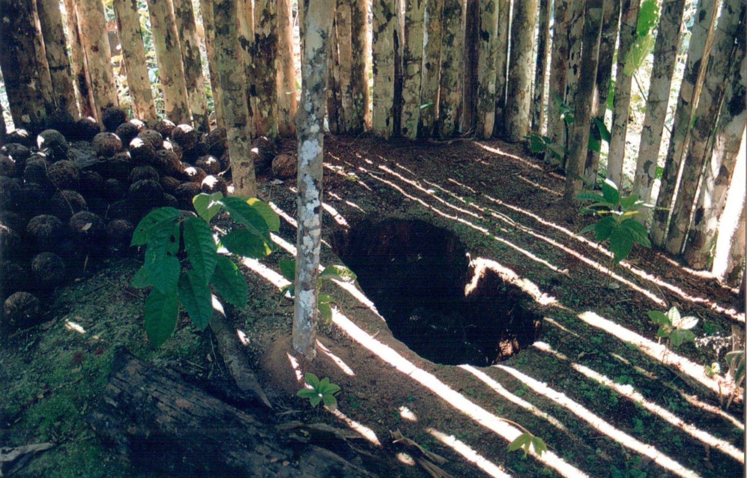 STF determina criação de parque onde viveu o 'Índio do Buraco' em RO stf-determina-criacao-de-parque-onde-viveu-o-'indio-do-buraco'-em-ro
