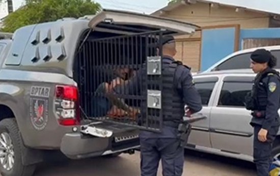 Operação fecha 22 pontos de drogas, prende 11, apreende armas, munições e R$ 167 mil em espécie operacao-fecha-22-pontos-de-drogas,-prende-11,-apreende-armas,-municoes-e-r$-167-mil-em-especie