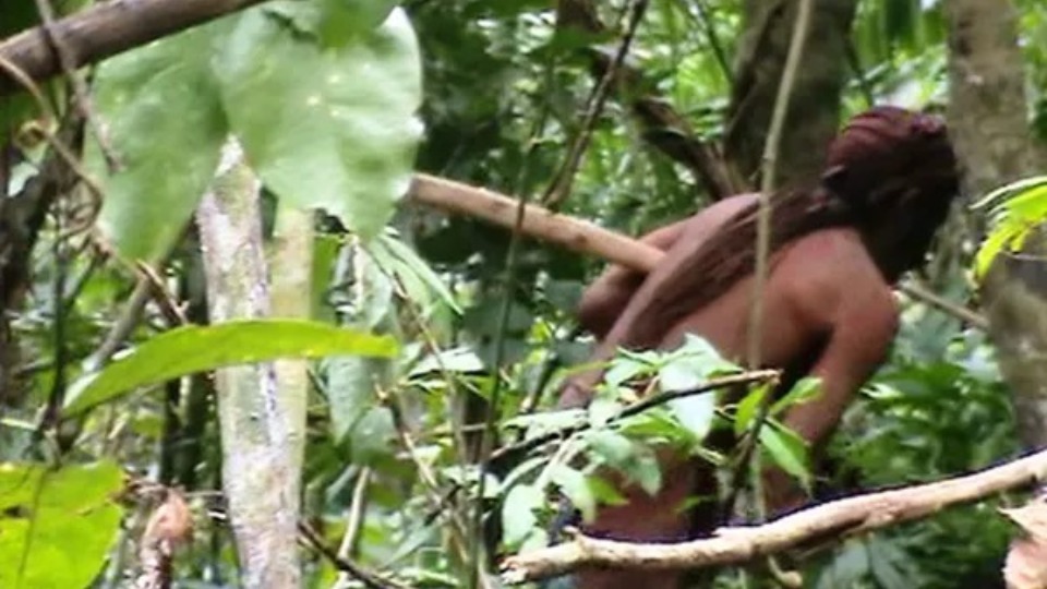 STF aprova criação do Parque Nacional Tanaru para preservar memória do stf-aprova-criacao-do-parque-nacional-tanaru-para-preservar-memoria-do