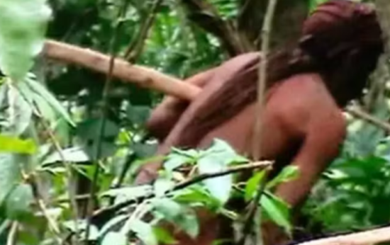 Plano que cria Parque Nacional Tanaru em Rondônia é homologado pelo STF plano-que-cria-parque-nacional-tanaru-em-rondonia-e-homologado-pelo-stf