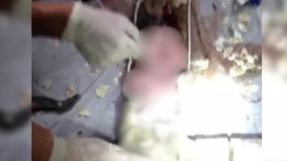 Bebê de 4 meses morre sufocado por tia embriagada bebe-de-4-meses-morre-sufocado-por-tia-embriagada