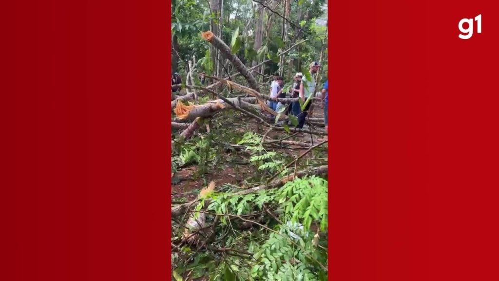 mulher-ferida-por-arvore-durante-vendaval-morre-apos-semanas-internada-em-ro