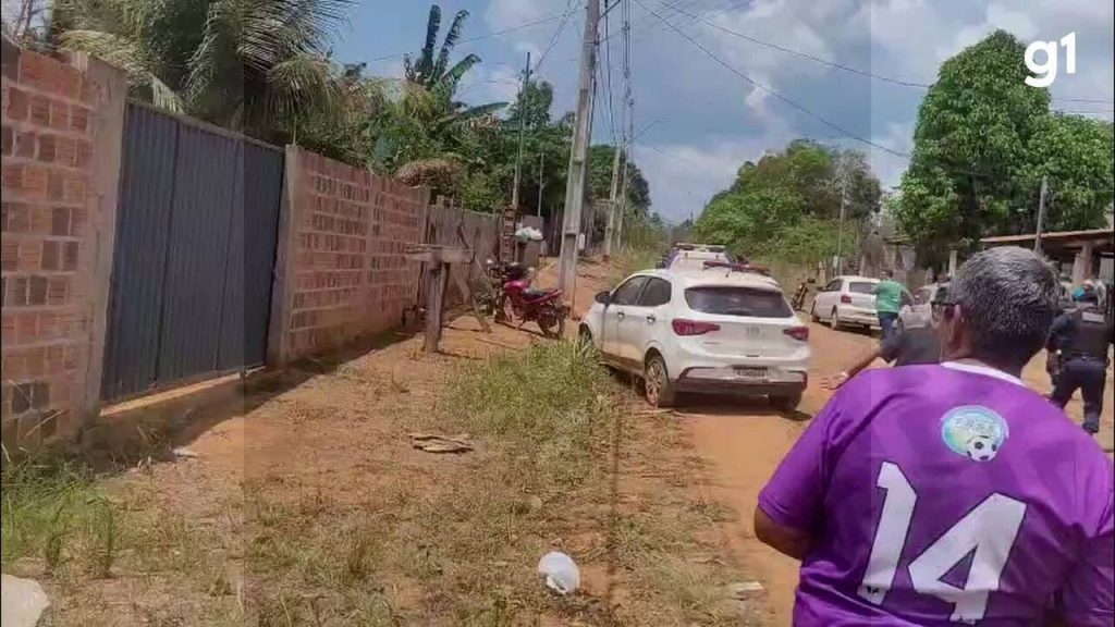 VÍDEO: onça salta muro e atravessa rua enquanto é caçada por policiais video:-onca-salta-muro-e-atravessa-rua-enquanto-e-cacada-por-policiais