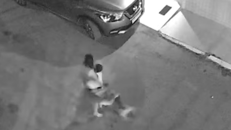 VÍDEO: menino com autismo é atacado por pitbull enquanto estava brincando video:-menino-com-autismo-e-atacado-por-pitbull-enquanto-estava-brincando