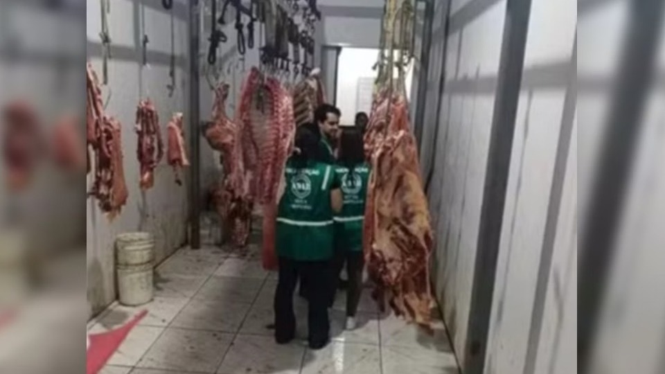 Cem quilos de carnes infectadas são apreendidos cem-quilos-de-carnes-infectadas-sao-apreendidos