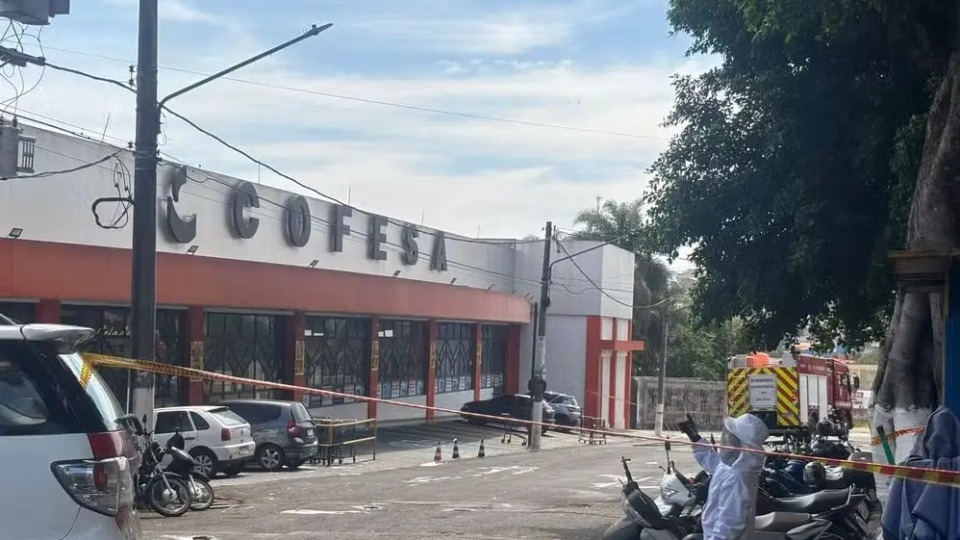 Imagens fortes: idoso morre ao ser atacado por abelhas no dia do seu aniversário imagens-fortes:-idoso-morre-ao-ser-atacado-por-abelhas-no-dia-do-seu-aniversario