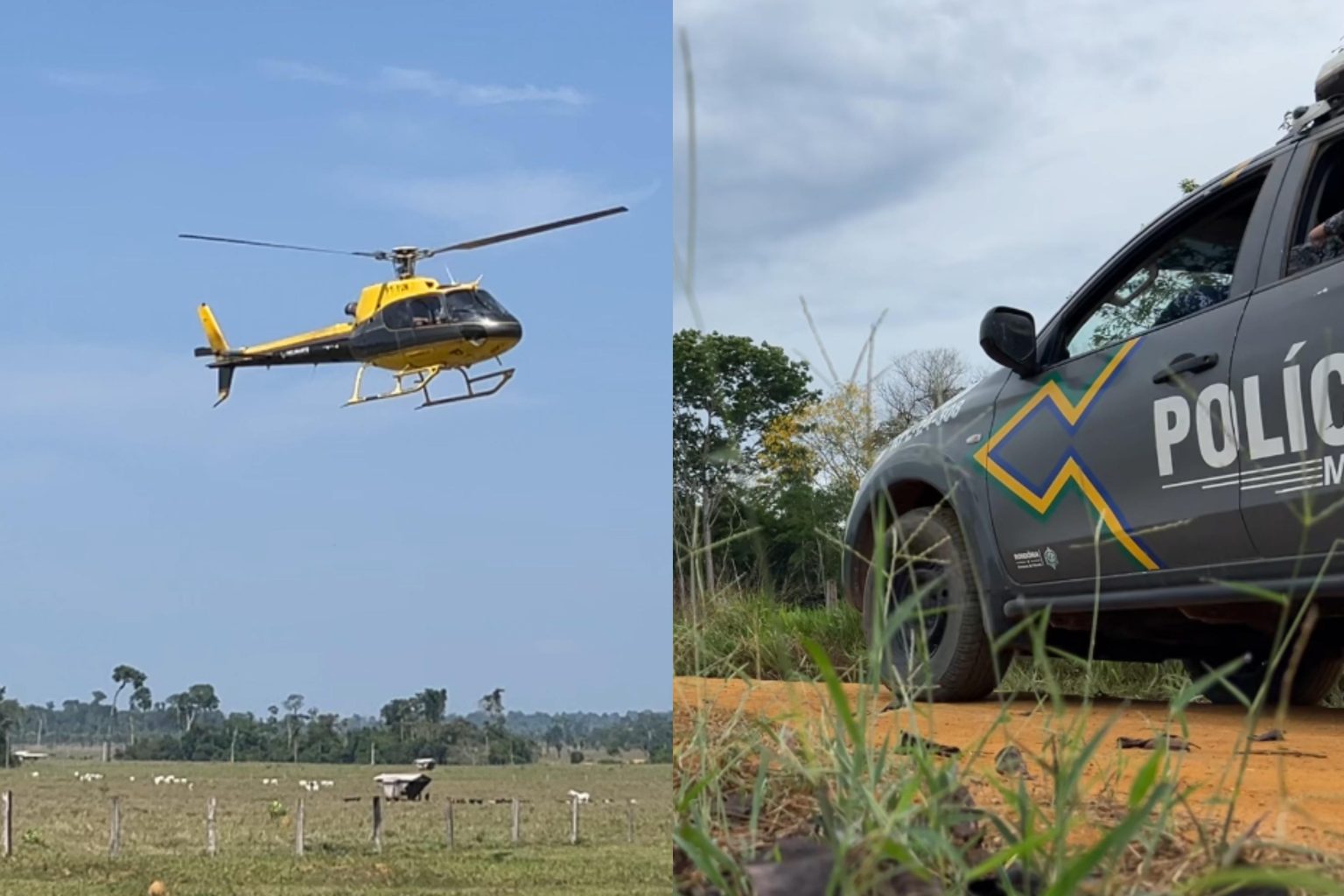 Invasão na Floresta Nacional do Bom Futuro é desocupada em RO invasao-na-floresta-nacional-do-bom-futuro-e-desocupada-em-ro
