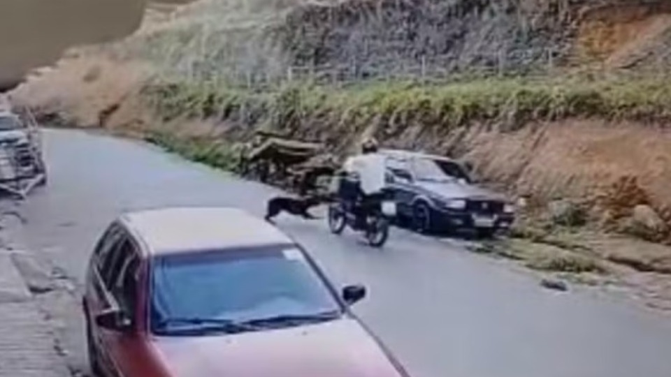 VÍDEO: motociclista é surpreendido por cachorro na pista e morre em acidente video:-motociclista-e-surpreendido-por-cachorro-na-pista-e-morre-em-acidente