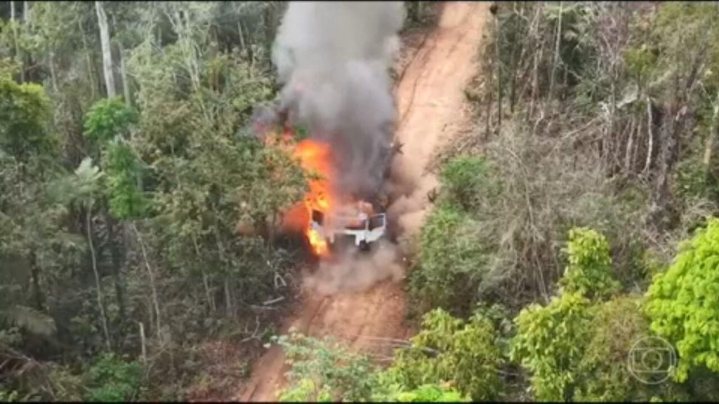 pf-e-ibama-combatem-extracao-ilegal-de-madeira-na-amazonia