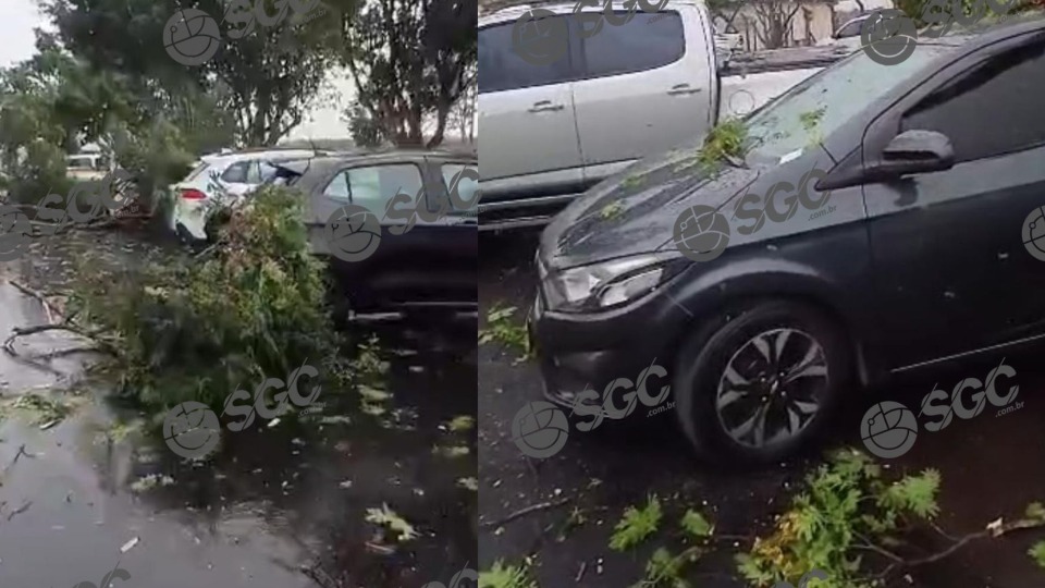 VÍDEO: Vendaval causa destruição em Vilhena e impede avião de pousar em aeroporto video:-vendaval-causa-destruicao-em-vilhena-e-impede-aviao-de-pousar-em-aeroporto