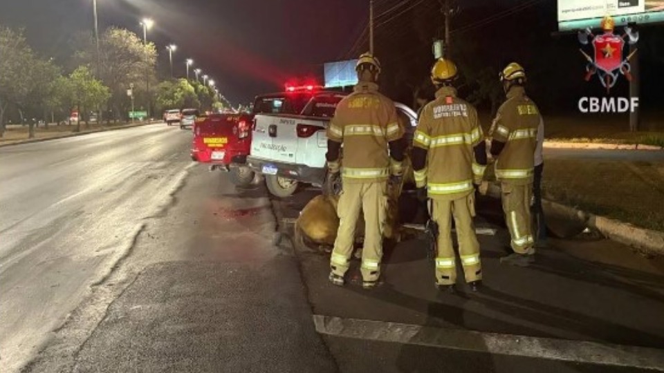 Cavalo é sacrificado após ser atropelado por veículo cavalo-e-sacrificado-apos-ser-atropelado-por-veiculo