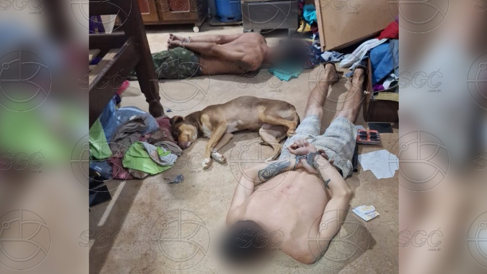 VÍDEO: Operação termina com cachorro video:-operacao-termina-com-cachorro