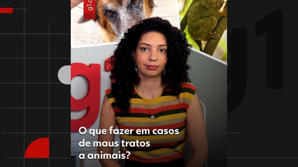 Cães vítimas de maus-tratos são resgatados durante operação da PF em RO caes-vitimas-de-maus-tratos-sao-resgatados-durante-operacao-da-pf-em-ro