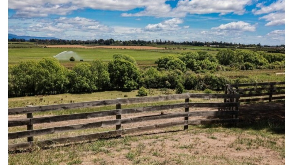 Justiça determina desocupação de área de 2,3 mil hectares em Rondônia para reforma agrária justica-determina-desocupacao-de-area-de-2,3-mil-hectares-em-rondonia-para-reforma-agraria