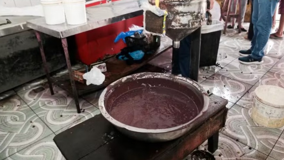 Peles e ossadas de animais são apreendidas em fábrica de açaí peles-e-ossadas-de-animais-sao-apreendidas-em-fabrica-de-acai