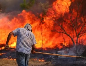 Queimadas disparam no RN: incêndios crescem 52% e fumaça já lota hospitais queimadas-disparam-no-rn:-incendios-crescem-52%-e-fumaca-ja-lota-hospitais