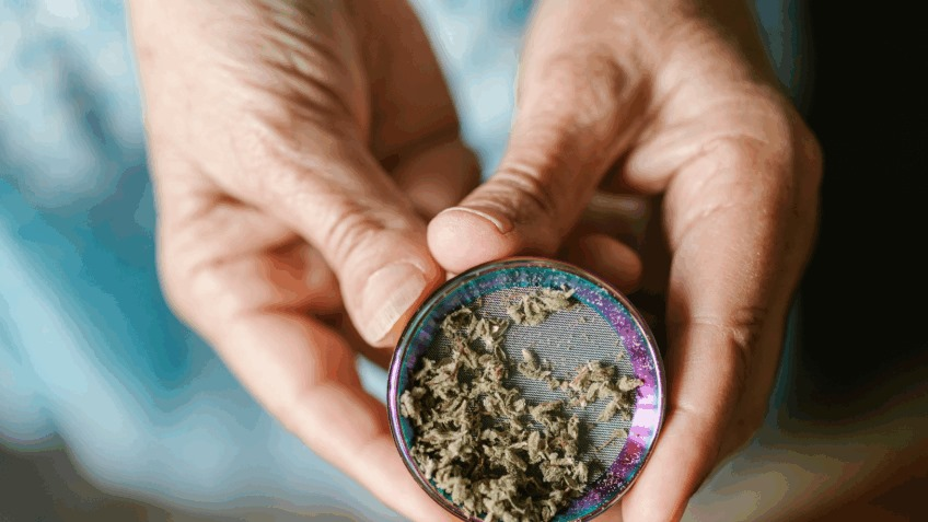 Anvisa proíbe venda de produtos de cannabis e cogumelos anvisa-proibe-venda-de-produtos-de-cannabis-e-cogumelos