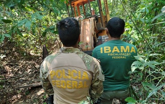 PF deflagra operação contra extração ilegal de madeira pf-deflagra-operacao-contra-extracao-ilegal-de-madeira