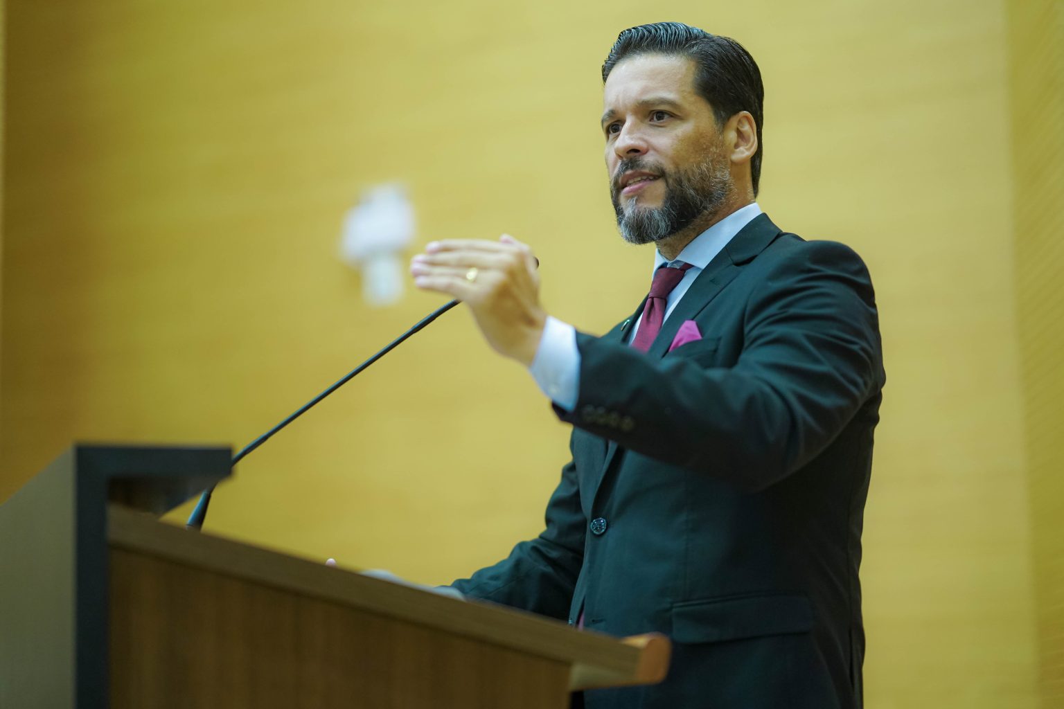 Alero aprova projeto de Delegado Camargo que proíbe participação de sancionados por corrupção em contratos públicos